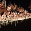 911flags_6602