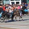 roseparade_6027