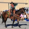 roseparade_6121