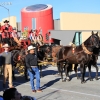 roseparade_6123