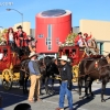 roseparade_6124