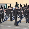 roseparade_6160