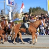 roseparade_6226