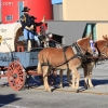 roseparade_6229