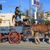 roseparade_6231