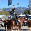 roseparade_6233