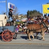 roseparade_6242