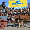 roseparade_6243