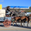 roseparade_6244