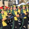 roseparade_6498