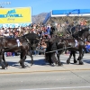 roseparade_6520