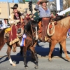 roseparade_6540