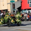 roseparade_6543