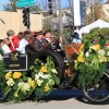 roseparade_6547