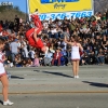 roseparade_6584