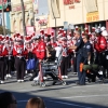 roseparade_6620