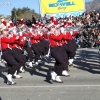 roseparade_6632