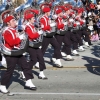 roseparade_6641