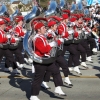 roseparade_6642