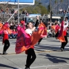 roseparade_6792