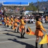 roseparade_7166