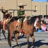 roseparade_7184