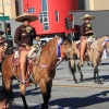 roseparade_7185