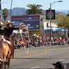 roseparade_7201