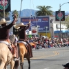 roseparade_7202