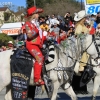 roseparade_7229