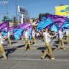 roseparade_7281