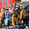 roseparade_7316