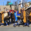 roseparade_7321