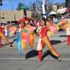 roseparade_7431