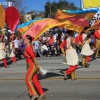 roseparade_7432