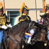 roseparade_7478