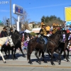 roseparade_7479