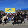 roseparade_7480