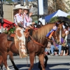 roseparade_7500