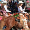 roseparade_7503