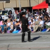 roseparade_7504