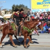 roseparade_7513