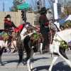 roseparade_7514