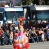 roseparade_7590