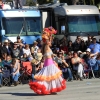 roseparade_7591