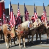 roseparade_7696