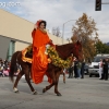 2013roseparade_7527