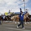 2013roseparade_7662