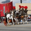 2013roseparade_8110