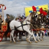 2013roseparade_8112